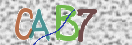 Immagine CAPTCHA